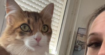 marie pet sitter à ROANNE 42300_0