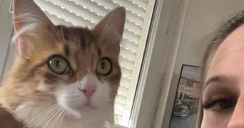 marie pet sitter à ROANNE 42300