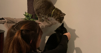 chloé pet sitter à ISTRES 13800_3