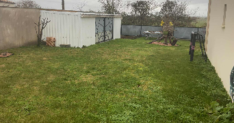 bruno dog sitter à THAIRE 17290_1