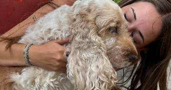 clara pet sitter à AMIENS 80000_2