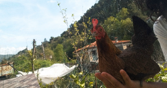 alessia pet sitter à Grasse 06130_3