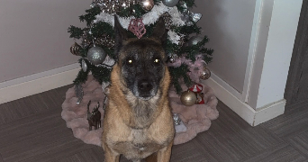 jessica pet sitter à Issoire 63500_7