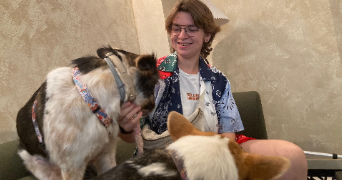 mégan pet sitter à MULHOUSE 68200_6
