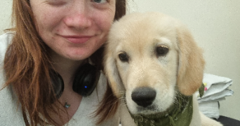 arwen pet sitter à RENNES 35000_2