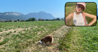 ambre pet sitter à AVIGNON 84000_2