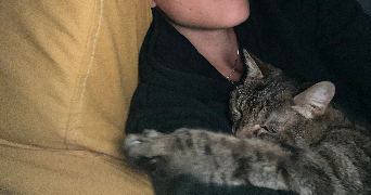elisa pet sitter à BAGNOLET 93170_1