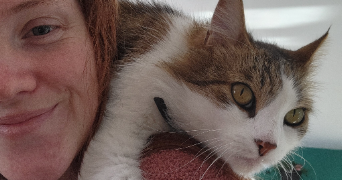manon pet sitter à SASSENAY 71530_5