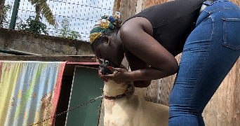 solene pet sitter à LE MEE SUR SEINE 77350_0