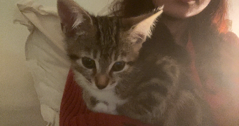 elina pet sitter à MARCILLY LA CAMPAGNE 27320_8