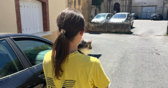 lola pet sitter à TOULOUSE 31100_1