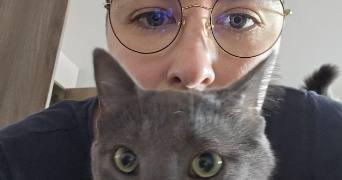 kristalya pet sitter à BREST 29200_1