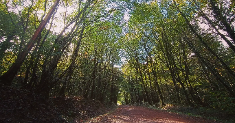 thaïs pet sitter à Vetraz-Monthoux 74100_1