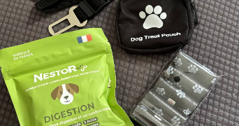 thelma pet sitter à MONTPELLIER 34000_2