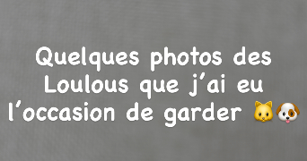 lucie pet sitter à MERIGNAC 33700_2