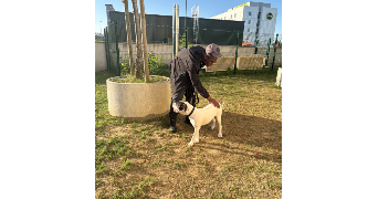 djahmal pet sitter à Nanteuil les meaux 77100_5