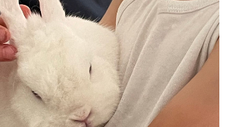 sophie pet sitter à PARIS 16 75016_5