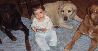 aurélien pet sitter à TOURS 37000_1
