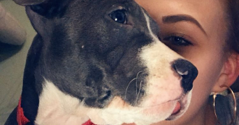 steffy pet sitter à DUNKERQUE 59140_0