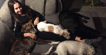inès pet sitter à Strasbourg 67200_11