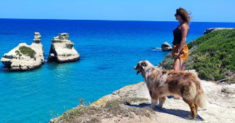 chloé pet sitter à NEUVECELLE 74500_2