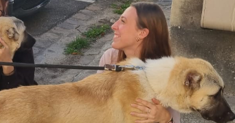 lola pet sitter à Maisons-Alfort 94700_6