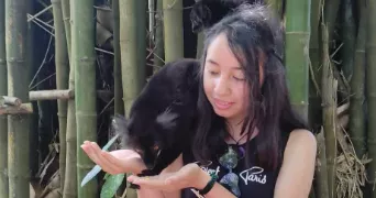 sylvia volaniaina pet sitter à SAVIGNY SUR ORGE 91600