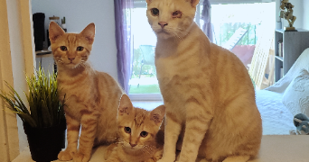 laura pet sitter à LA CIOTAT 13600_5