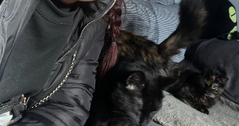 sherine pet sitter à CRAPONNE 69290_0