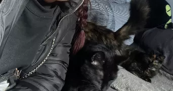 sherine pet sitter à CRAPONNE 69290