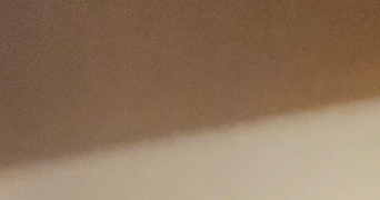 maeli pet sitter à BAGNEUX 92220_0