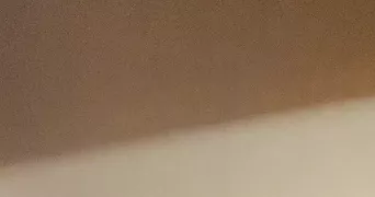 maeli pet sitter à BAGNEUX 92220