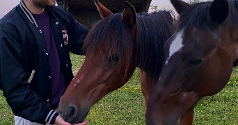 lison pet sitter à LILLE 59800_2