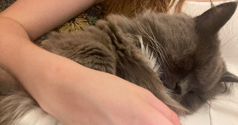 dorothée pet sitter à PARIS 11 75011_1