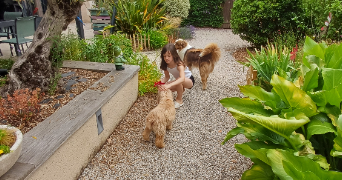 lucie pet sitter à BECON LES GRANITS 49370_7