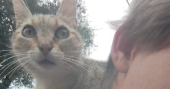 quentin pet sitter à ANTIBES 06600_5