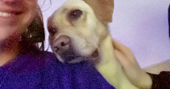 marthe pet sitter à Lyon 69500_3