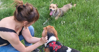 caroline pet sitter à ANTONY 92160_0