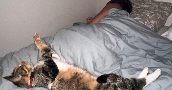 asma pet sitter à MARCQ EN BAROEUL 59700_1