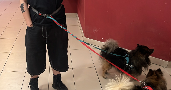 logan pet sitter à ROANNE 42300_3