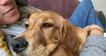 anne-claire pet sitter à LA GARENNE COLOMBES 92250_5