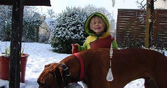erell pet sitter à RENNES 35000_1