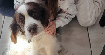 emilie pet sitter à ANDREZIEUX BOUTHEON 42160_1