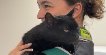 eléa pet sitter à CREHANGE 57690_0