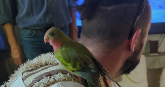 nicolas pet sitter à CESNY AUX VIGNES 14270_1