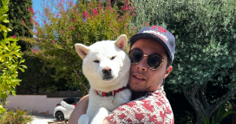 félix pet sitter à LILLE 59000_0