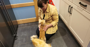 martine pet sitter à PONT L ABBE 29120_2