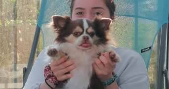 andrea pet sitter à MONT ST AIGNAN 76130_2