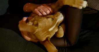 manon pet sitter à MARSEILLE 07 13007_1