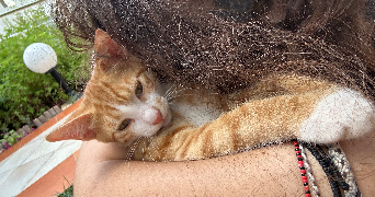 claire pet sitter à ZOUFFTGEN 57330_3